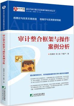 审计整合框架与操作案例分析+2