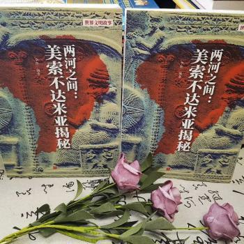 两河之间:美索不达米亚揭密
