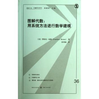 图解代数:用系统方法进行数学建模