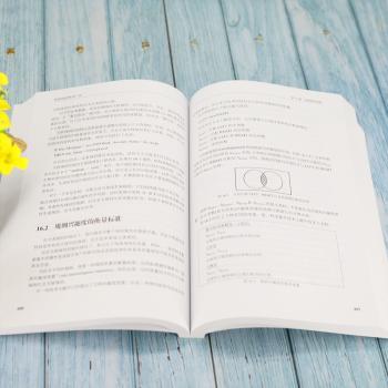 数据挖掘原理(第4版计算机科学典范教材)