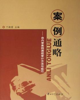 案例通略:由内审案例透视审计方法与技巧