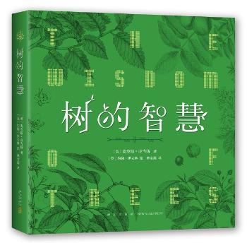 树的智慧+2