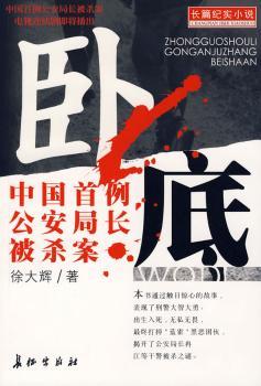 卧底 - - 中国例公安局长被杀案