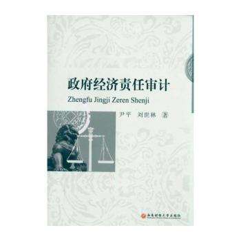 政府经济责任审计