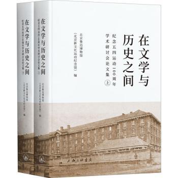 在文学与历史之间：纪念五四运动100周年学术研讨会论文集