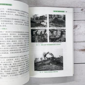 园林树木移植与整形修剪+2