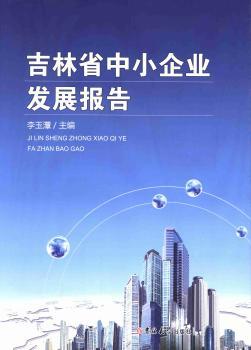 吉林省中小企业发展报告