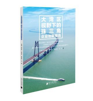 大湾区视野下的珠三角企业创新报告+2