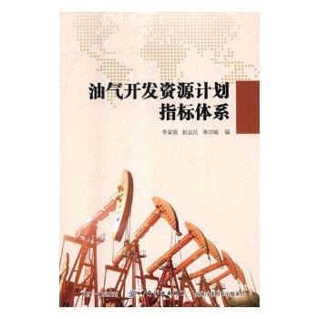 油气开发资源计划指标体系+2