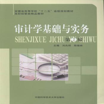 审计学基础与实务+2