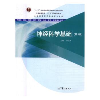 神经科学基础+2
