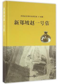 新郑坡赵一号墓