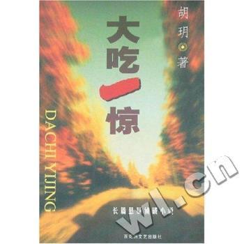 大吃一惊:长篇悬疑侦破小说