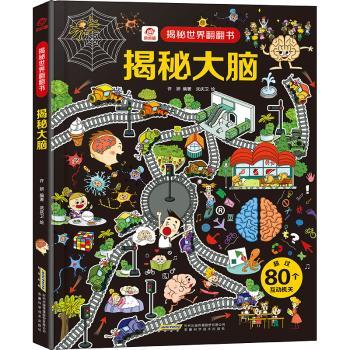 揭秘大脑+2