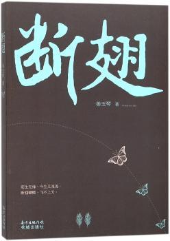 断翅+2