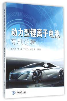 动力型锂离子电池专利分析+1