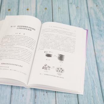 石墨烯润滑添加剂微观结构调控及润滑机理