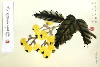 荣宝斋画谱:现代编(8)山卉花虫