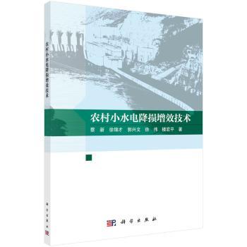 农村小水电降损增效技术