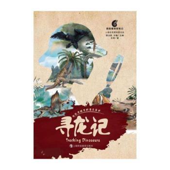 寻龙记+2