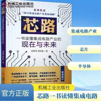 芯路(一书读懂集成电路产业的现在与未来)