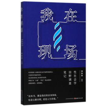 我在现场：性社会学田野调查笔记+2