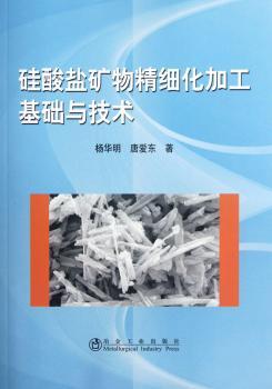 硅酸盐矿物精细化加工基础与技术