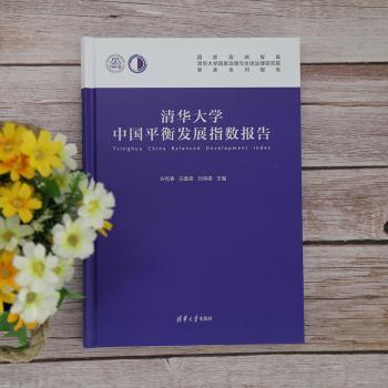清华大学中国平衡发展指数报告(精)