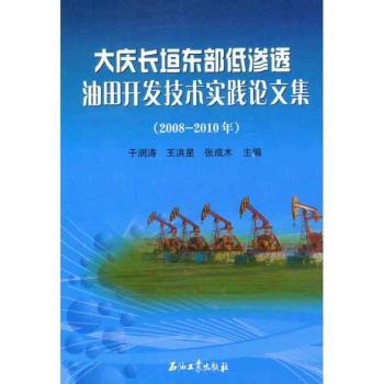 2008-2010年-大庆长垣东部低渗透油田开发技术实践论文集