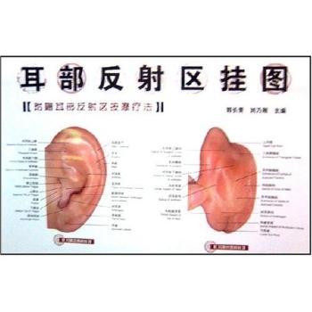 耳部反射区挂图-(附赠耳部反射区按摩疗法)