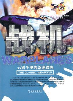 战机：云霄千里的急速猎鹰