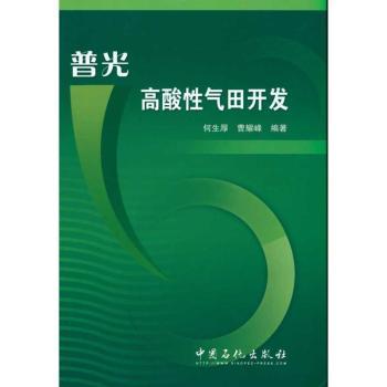 普光高酸性气田开发
