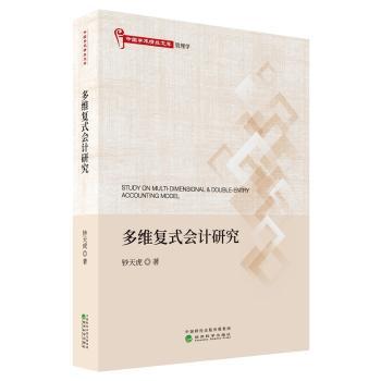 多维复式会计研究