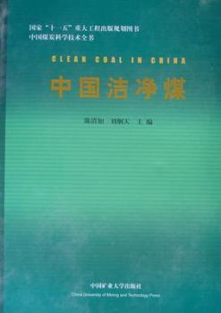 中国洁净煤