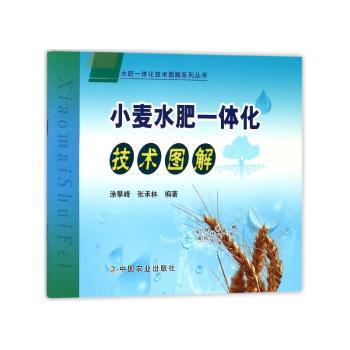 小麦水肥一体化技术图解