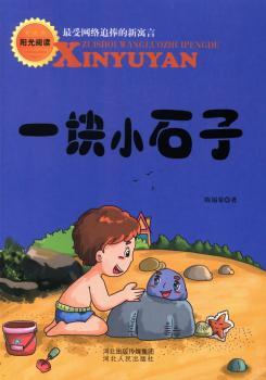 一块小石子