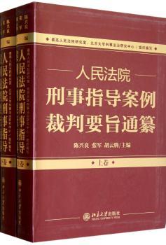 人民法院刑事指导案例裁判要旨通纂-(上下卷)