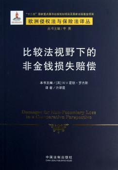 比较法视野下的非金钱损失赔偿