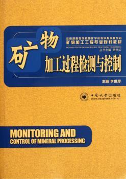 矿物加工过程检测与控制
