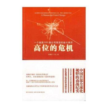 高位的危机:一个美国500强公司高层的奋斗亲历