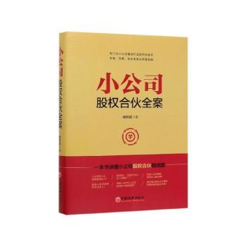 小公司股权合伙全案