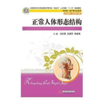 正常人体形态结构