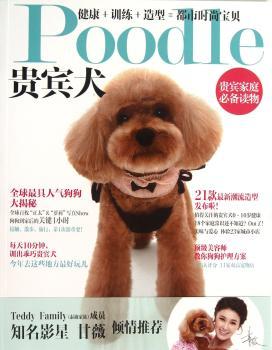 Poodle-贵宾犬