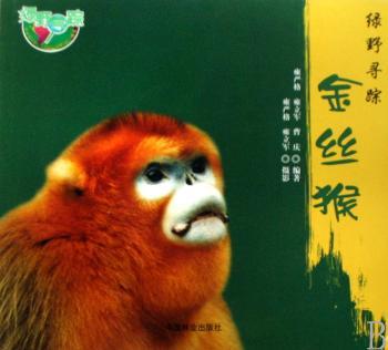 金丝猴