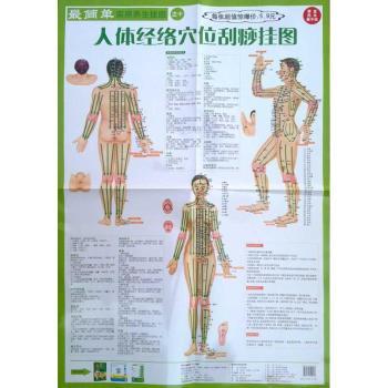 人体经络穴位刮痧挂图-用养生挂图之十