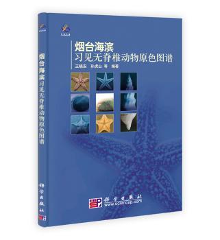烟台海滨习见无脊椎动物原色图谱