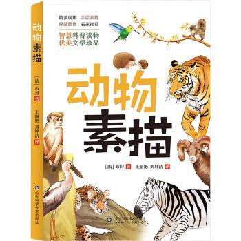 动物素描