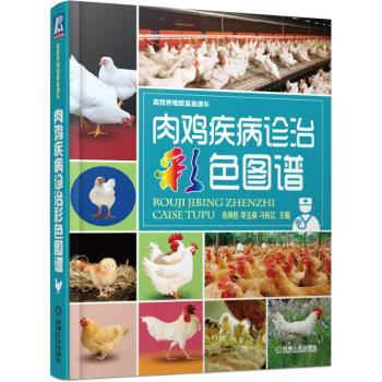 肉鸡疾病诊治彩色图谱