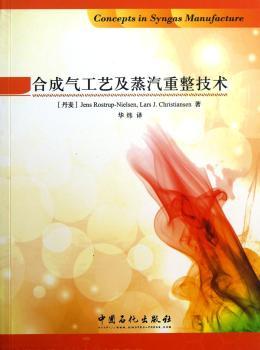 合成气工艺及蒸汽重整技术