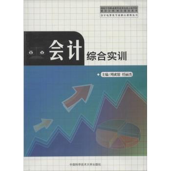 会计综合实训